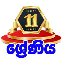 11 ශ්‍රේණිය