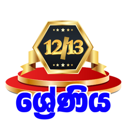 12/13 ශ්‍රේණි